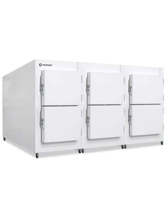 TMC-6
